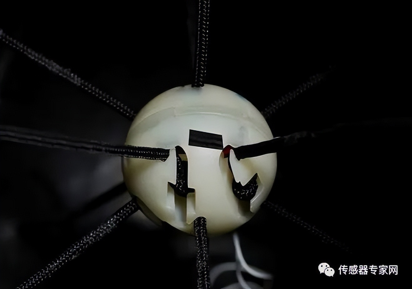 世界杯场上迷惑瞬间,世界杯越位录像