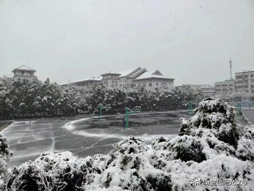 《下春雪啦》《阳台——我的乐园》《足球场——我的乐园》