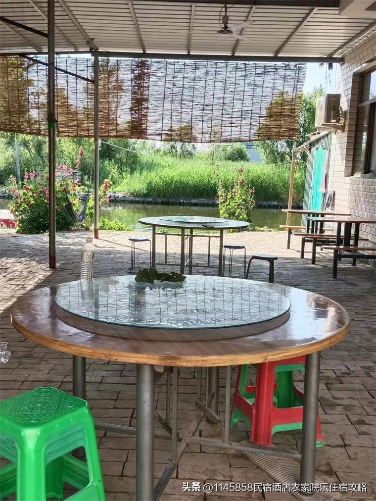 白洋淀农家打鱼,白洋淀农家院野钓推荐