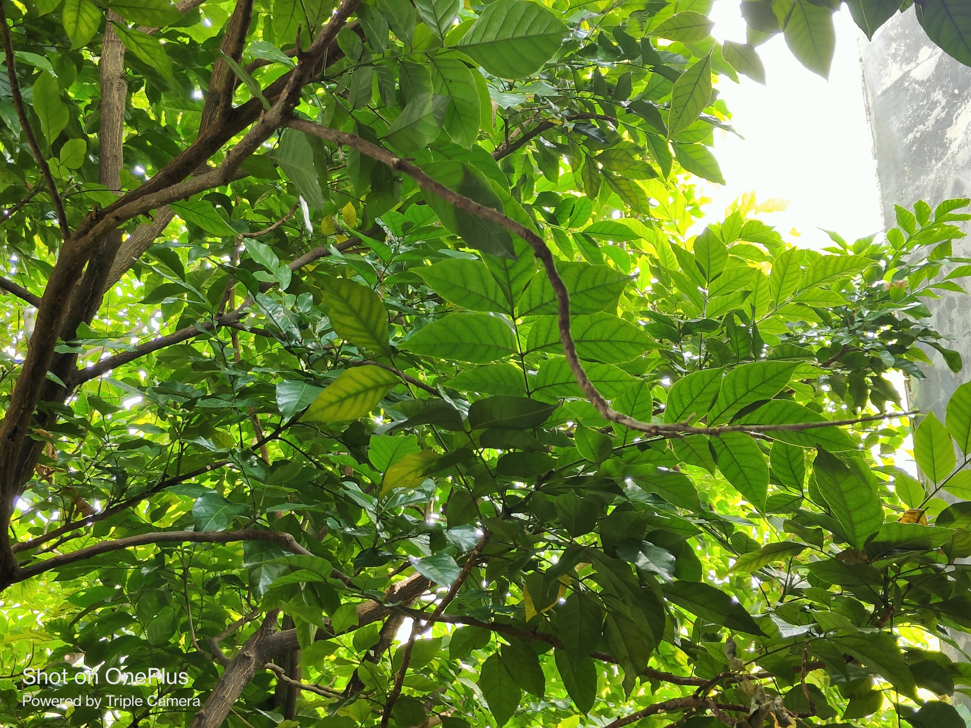 双11出行好物推荐,双11旅行必买清单