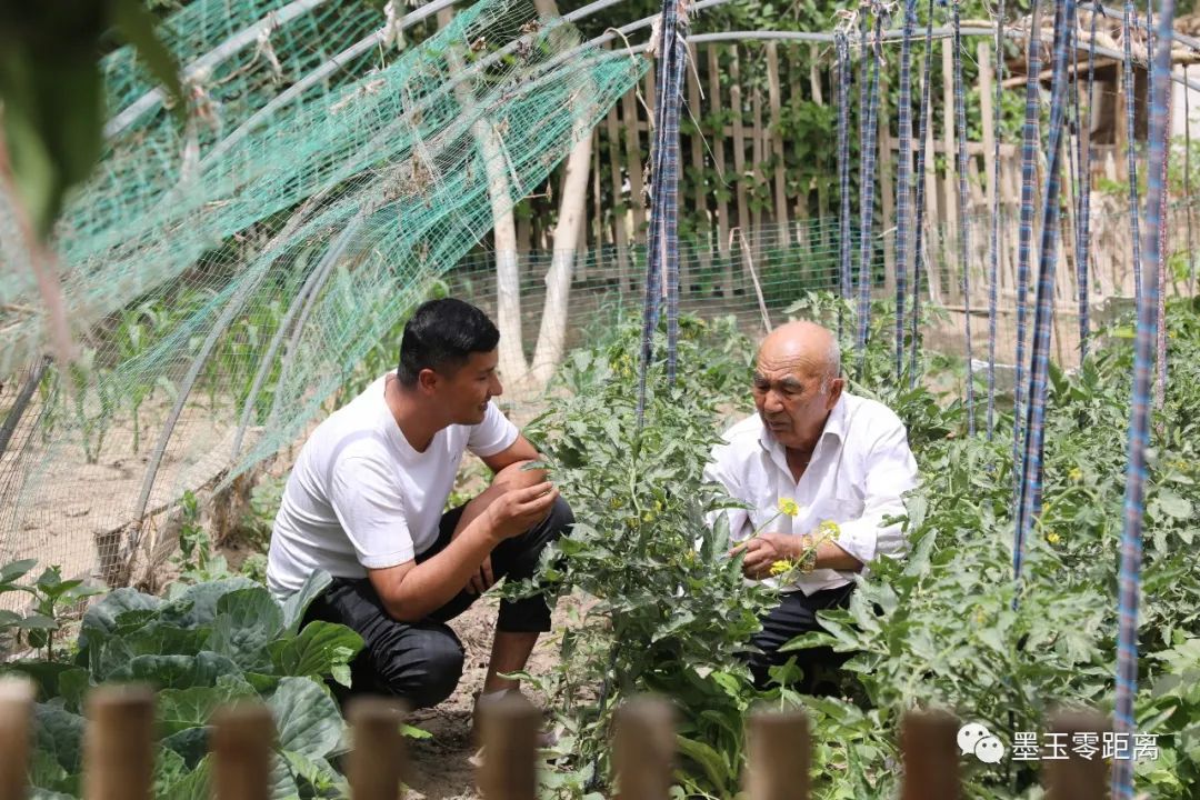 爱民村书记,爱民村党支部书记