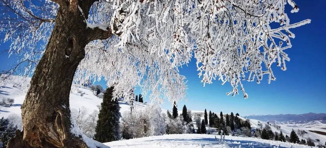 火了！新源又火了！全国瞩目，未来发展不可估量！为你的家乡比心