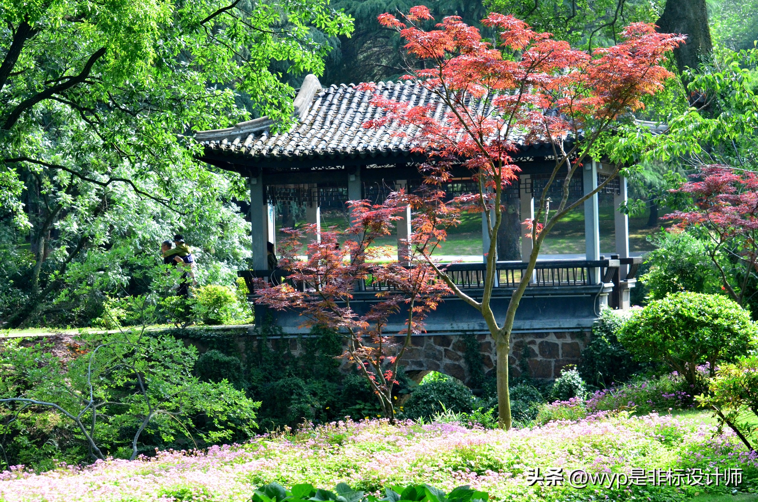 无锡拈花湾夜景说说,无锡魅力在哪里