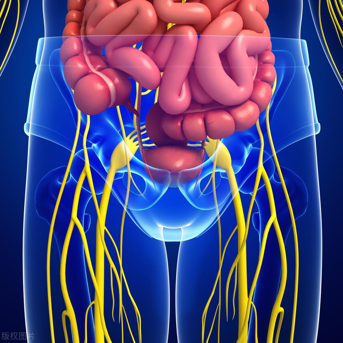 吃减肥药变得更肥该怎么办,吃减肥用药的危害