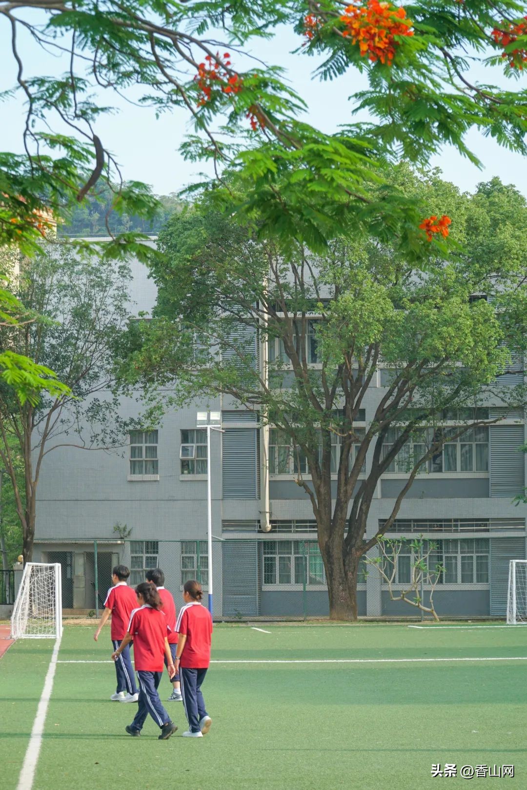 北师大珠海附中,三年青春在校园里