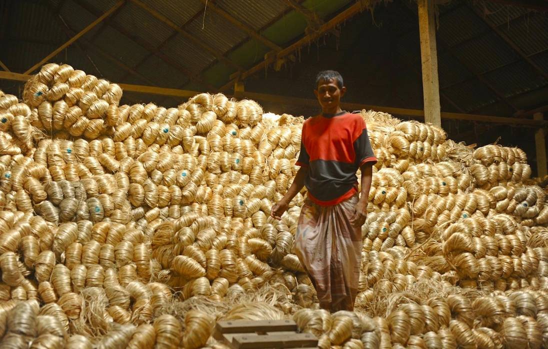 中国没人种的黄麻，为何却被印度当成“铁饭碗”，养活近千万人？