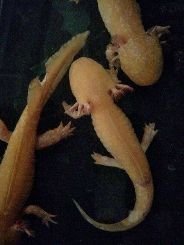 高高的紫云山,我们的青春故事曾在这里演绎