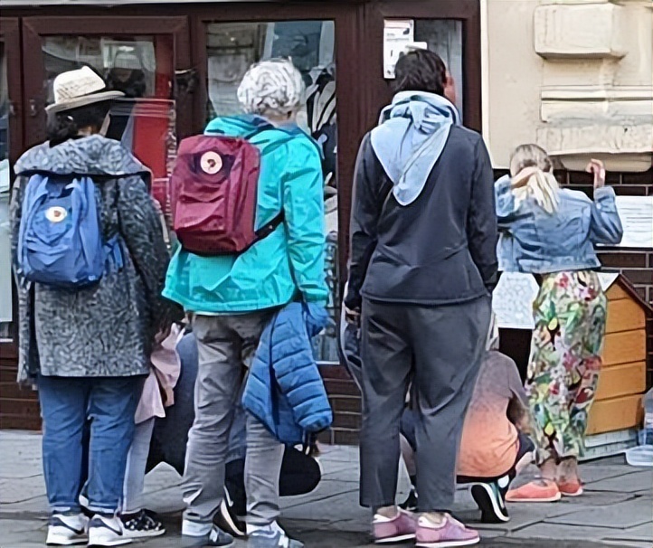 一只流浪的肥猫,波兰一流浪猫成5星旅游景点