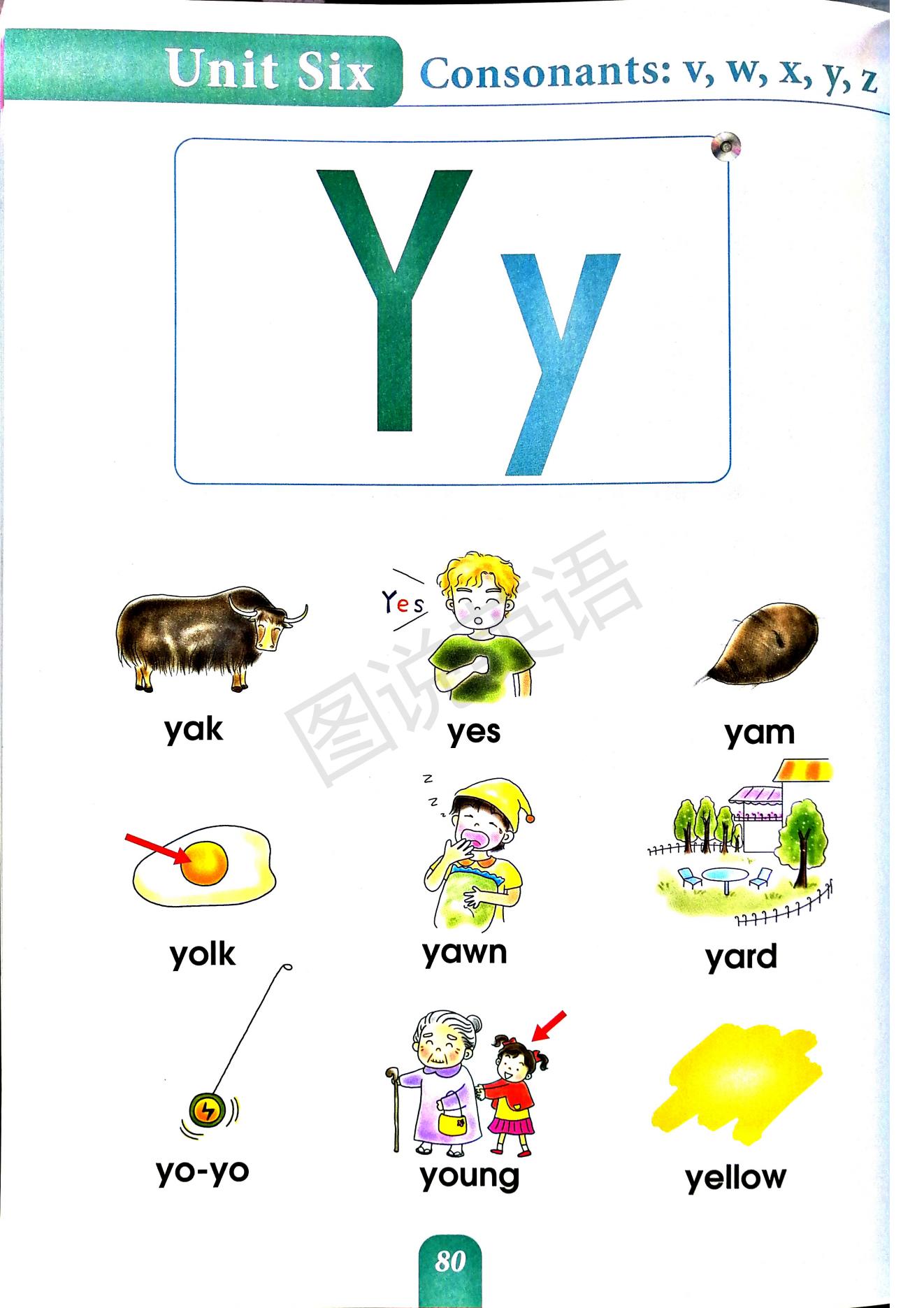 一口背,一口学会国际音标