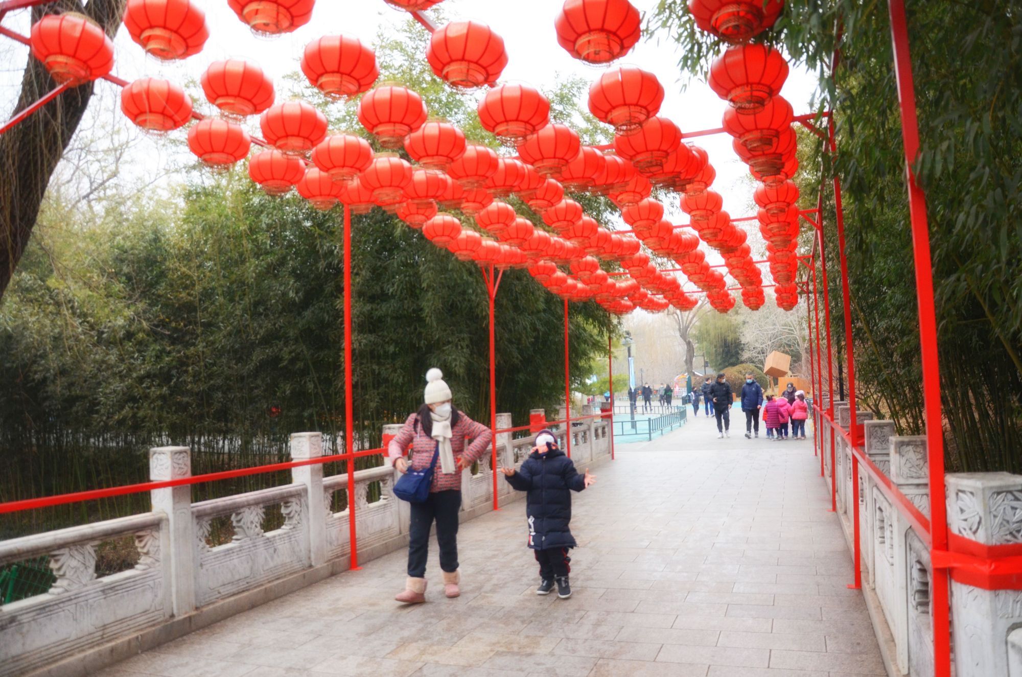 张灯结彩迎佳节火树银花闹新春,今天的公园处处张灯结彩人潮涌动