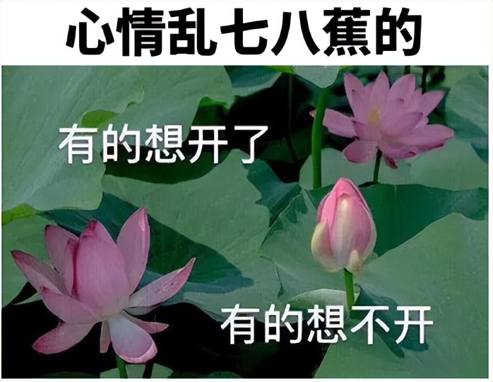 女子嫌公厕马桶脏跌伤进医院，坐着比蹲着脏？如厕时被水溅到会得性病吗？