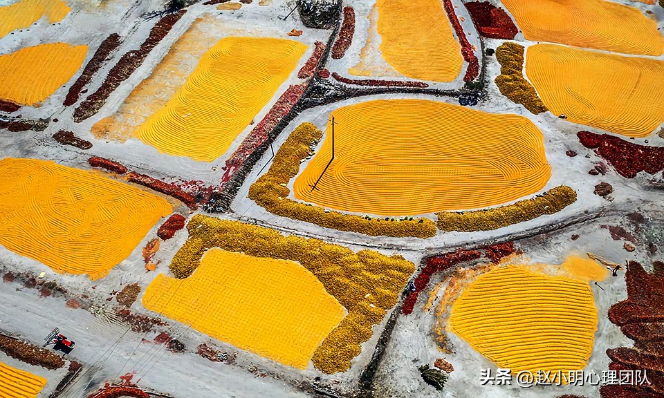 初中成绩退步家长该怎么沟通,孩子上学哭了一个月怎么办