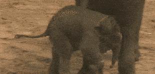 塞进去容易拔出来难,妹子着急死了哈哈哈哈哈哈！真的尴尬啊