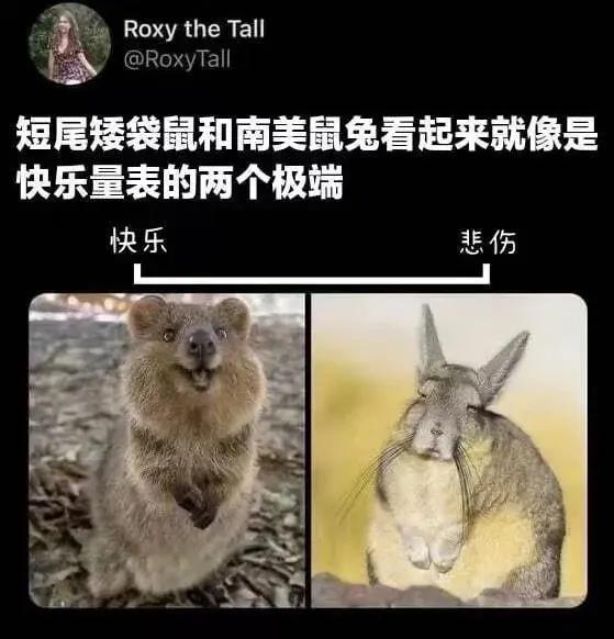 很搞笑的图片和故事,每天都要洗衣服的搞笑图片