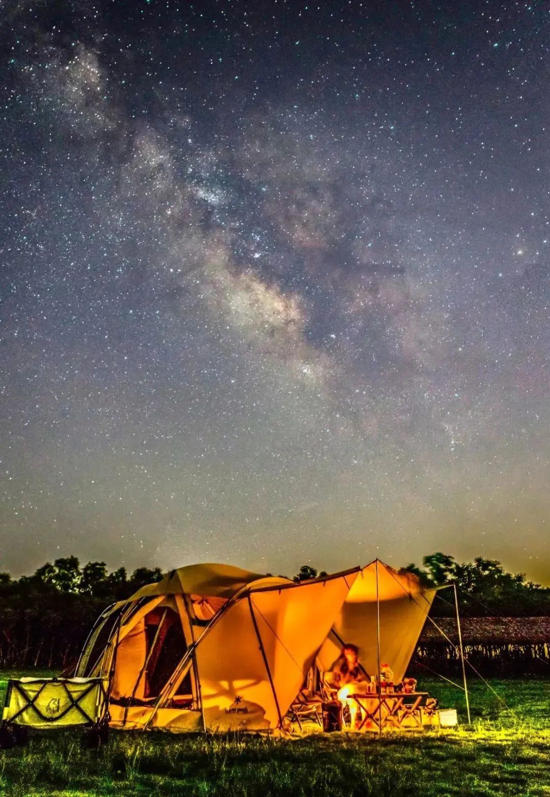 上海沉浸式夜游公园,上海森林公园夜游