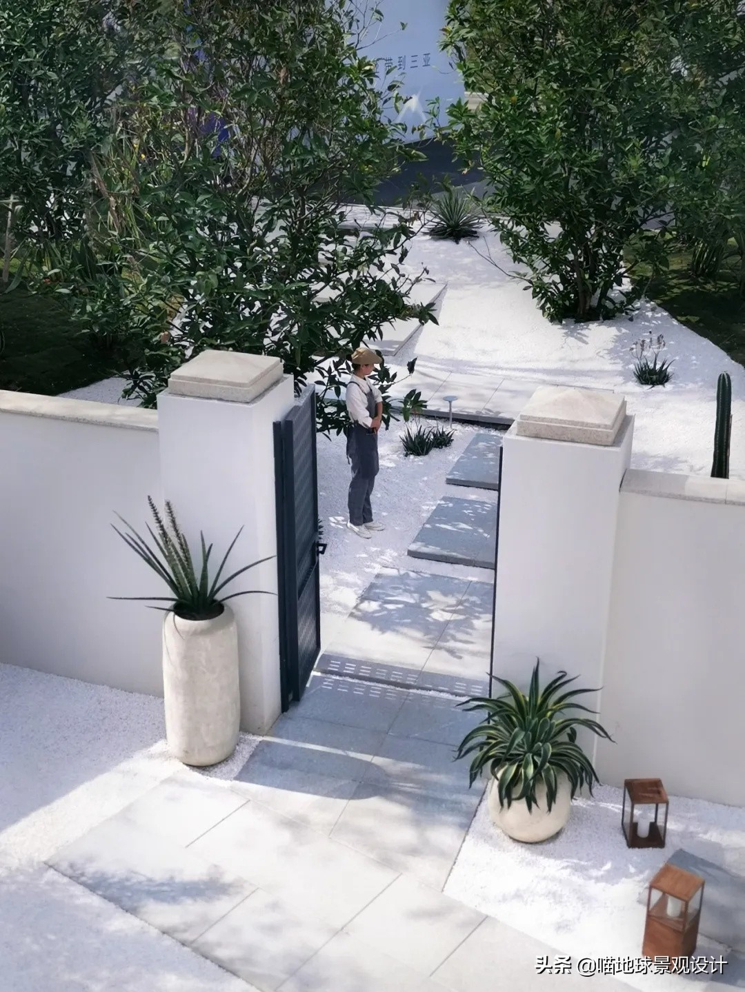 热带风情的庭院别墅,庭院大型热带风情绿植