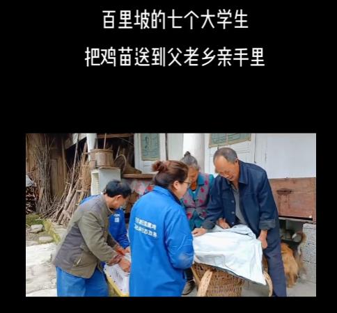 准岳父下跪求他离开女儿，决心创业进深山养鸡16年，带领村民致富