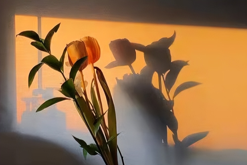 人到60岁出现这3种征兆,人过60岁这7种人不仅命好福气也大