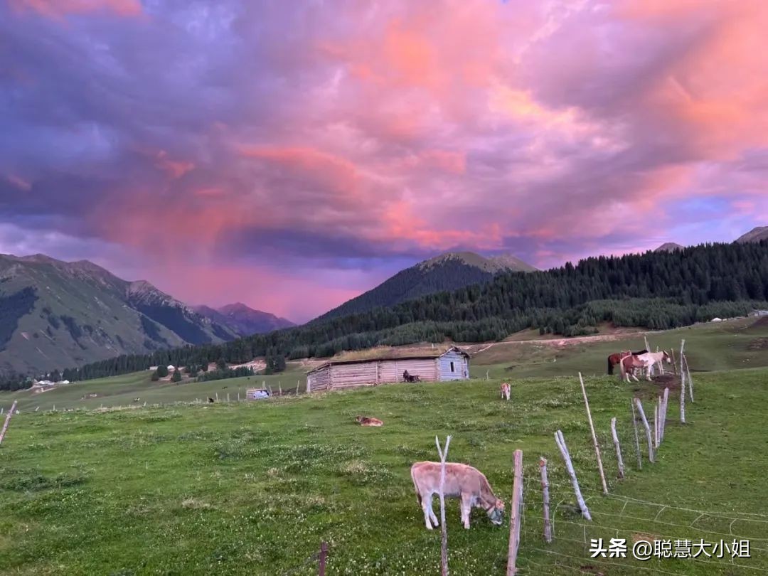 *疆新**，美到封神！配得上“她”的民宿有多少？