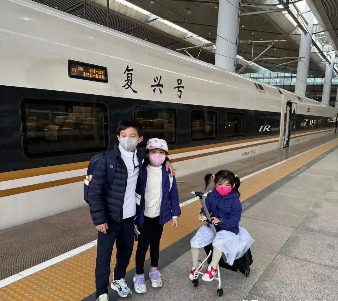 豪门清流与育儿知识,豪门育儿实例视频