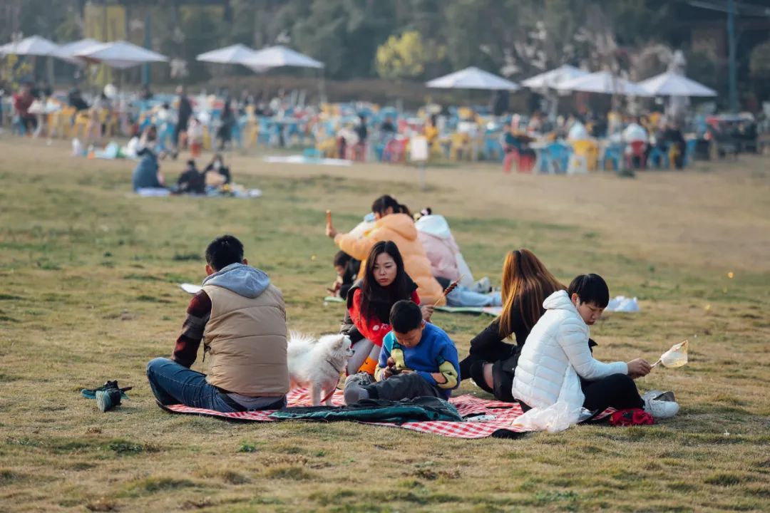 春暖花开运动好时节,春暖花开该开始运动了