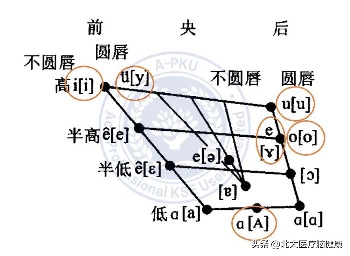 语言学国际音标48个的标准读法,国际音标发音及教学技巧学习心得