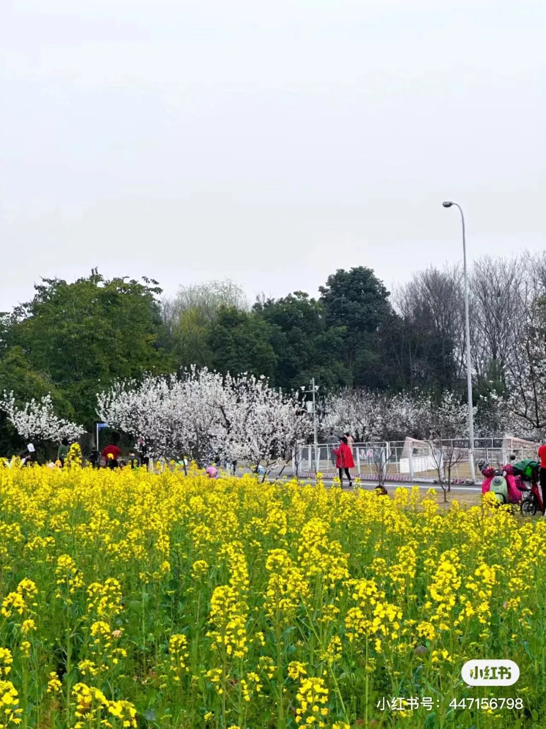 成都有哪些公园值得一去,成都必去的公园排行榜最新名单
