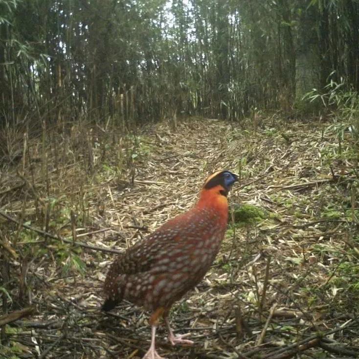 昭觉美姑,美姑路况