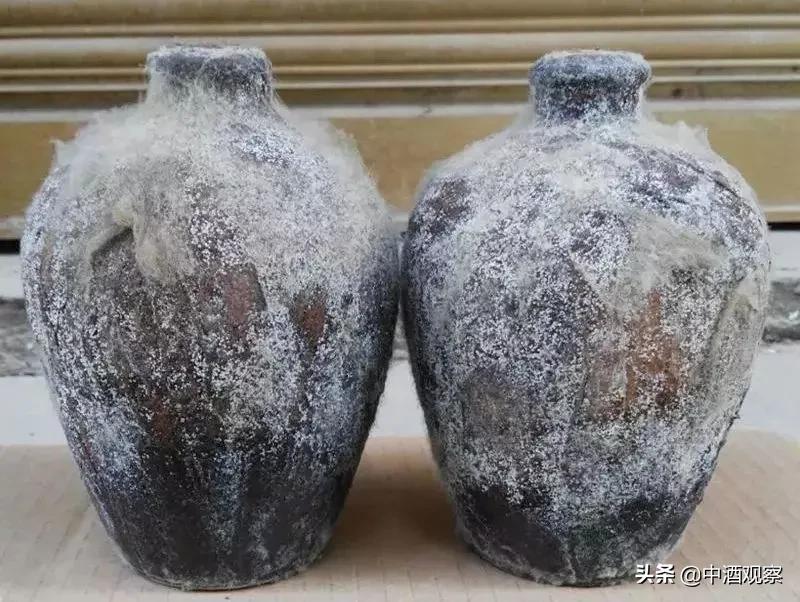 六种白酒不适合喝,几种白酒千万不要喝