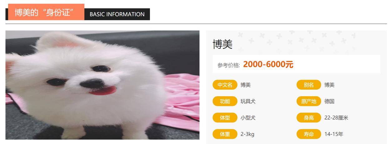 博美犬能长到几斤,博美犬的资料大全