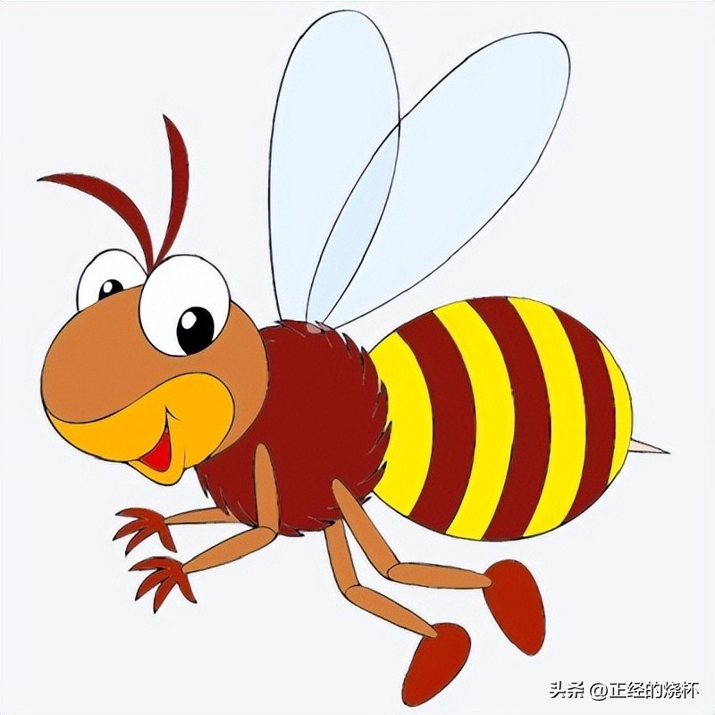 马蜂的习性有多可怕,马蜂习性的特点是什么