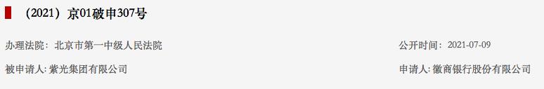 紫光原董事长赵伟国等被强执,紫光集团赵伟国案件剖析
