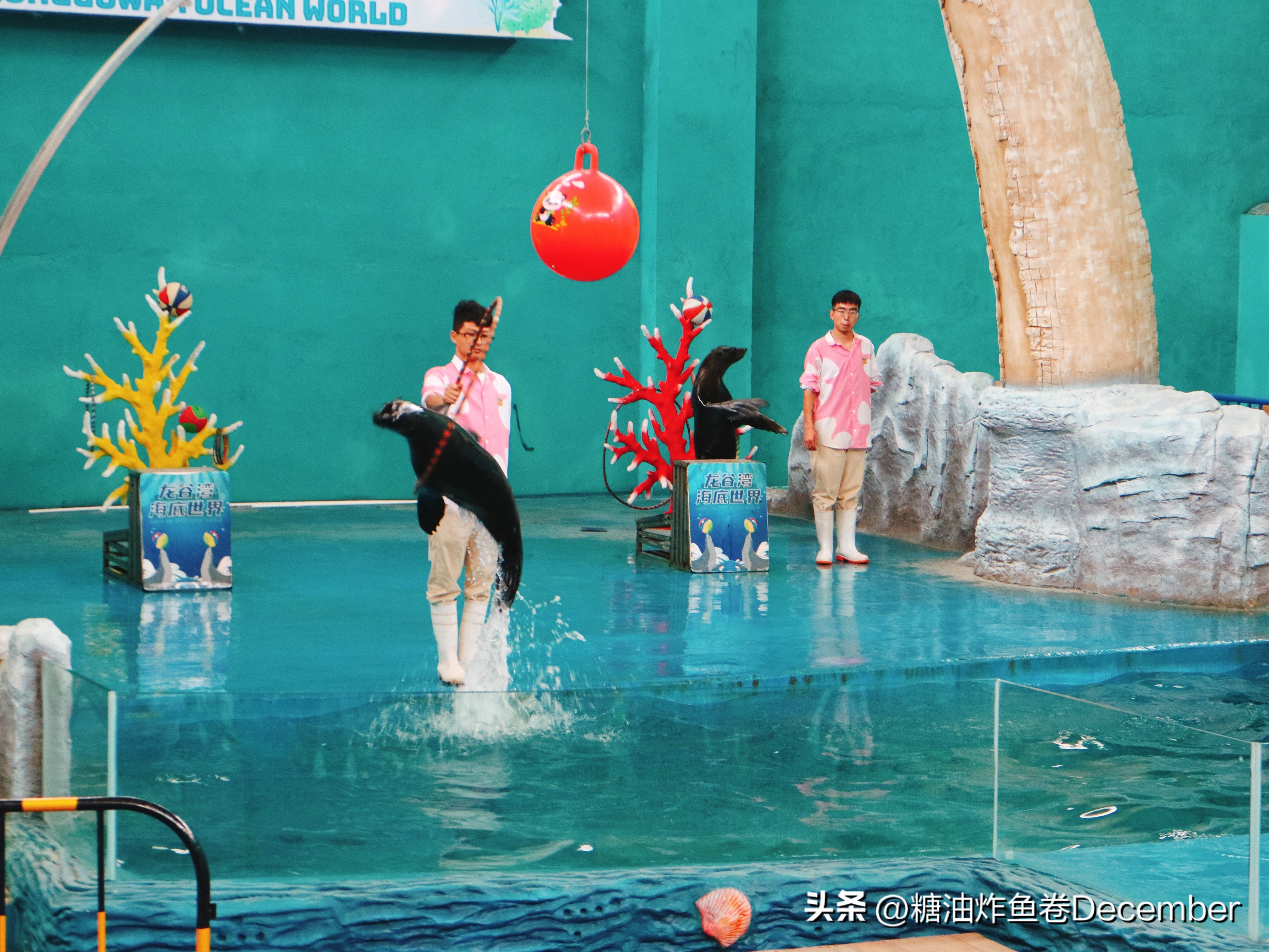 扶绥龙谷湾恐龙公园游玩攻略,扶绥龙谷湾恐龙公园在哪里