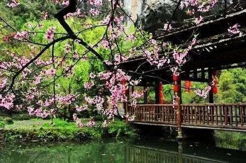 诗经桃夭的意思,诗经桃夭的意思是什么