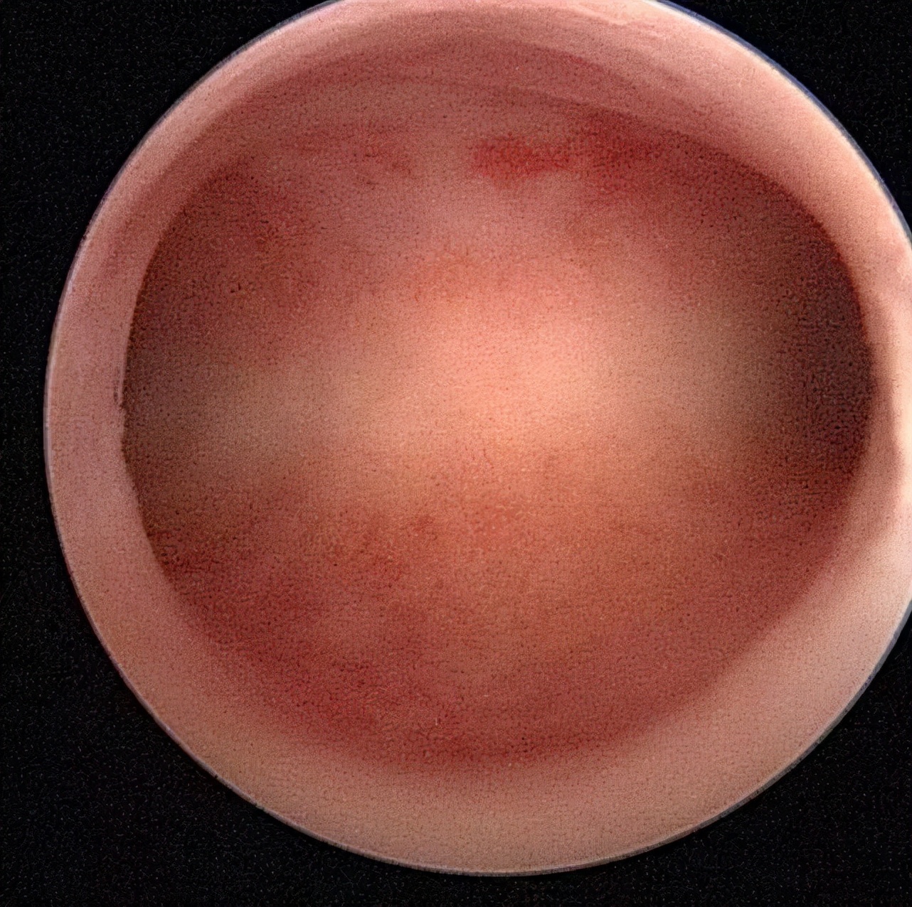 好医生被害案例,好医生结局解析
