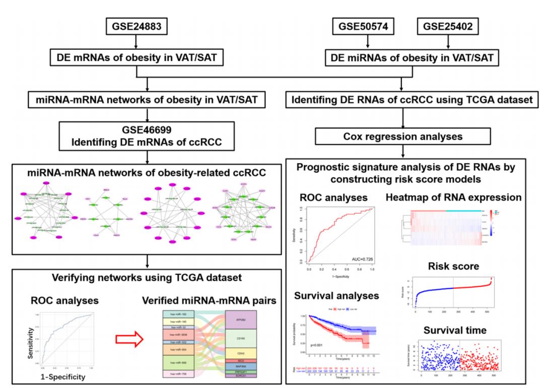 sci论文化繁为简,sci速成手把手教你写