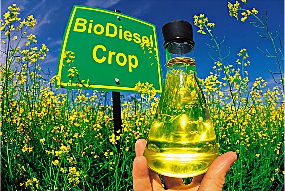 直喷式柴油机燃用菜籽油生物柴油的试验研究