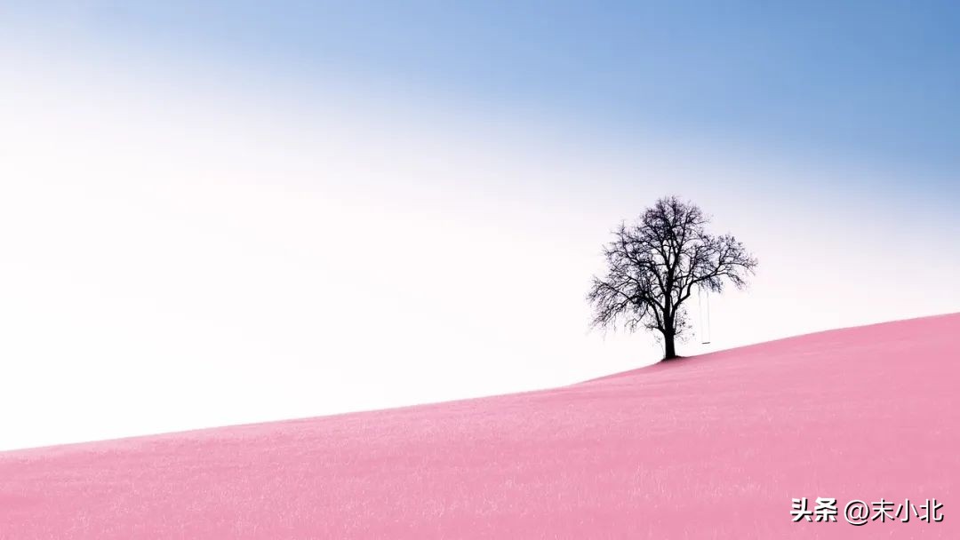 面对男人的暧昧装傻的女人,对男人绝情不纠缠的女人