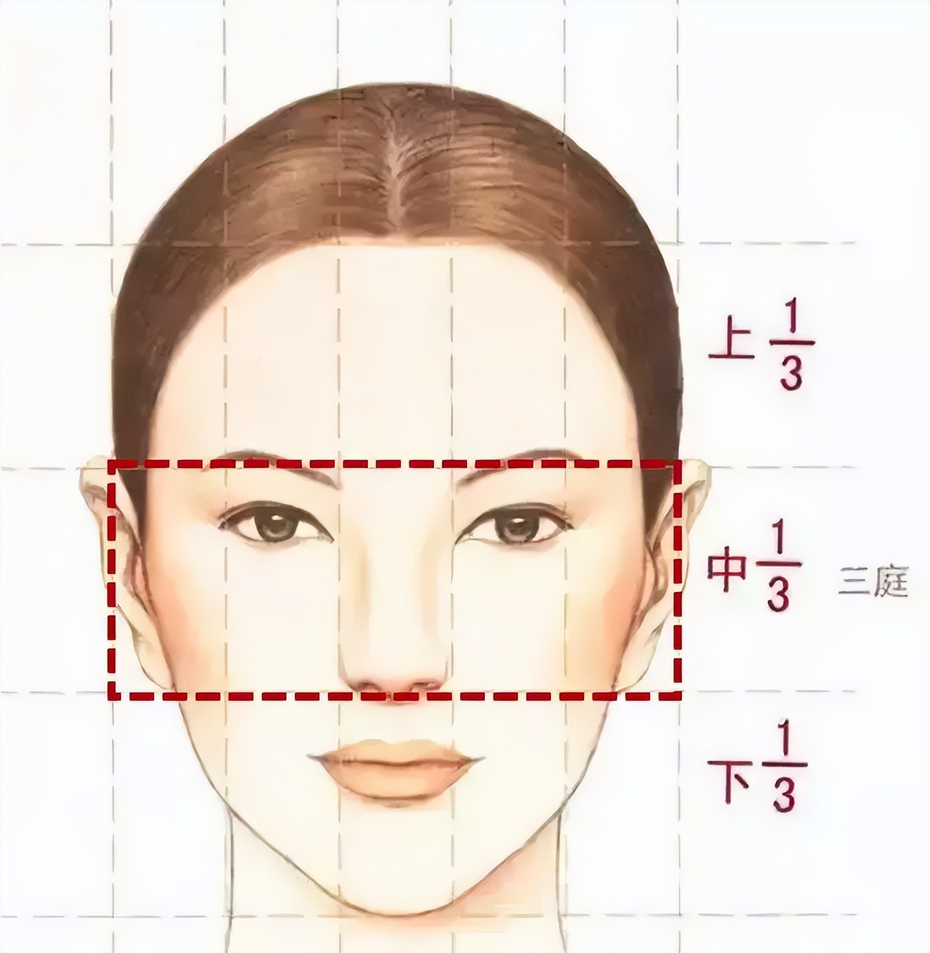 中庭偏长的人是不是显老,中庭长和中庭短哪个显老