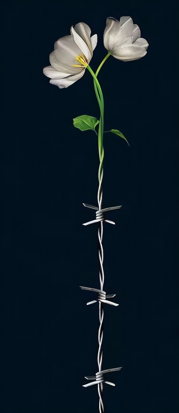 在英国用英语骂英国人就是贵族？