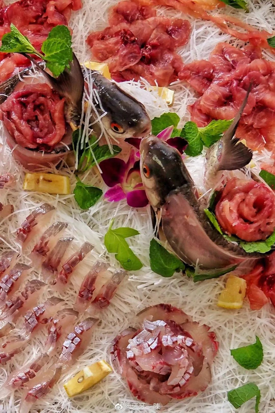 日本人评价横县鱼生,横县鱼生和韩国刺身