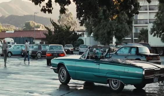 末路狂花：女性反抗与自我解放的社会批判与文化反思