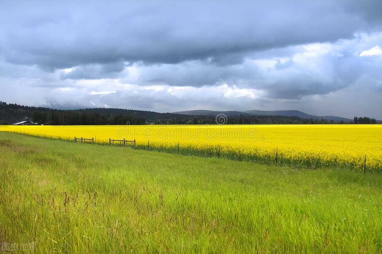 国际油价回落国内油价继续上调,国际油价上涨石油股
