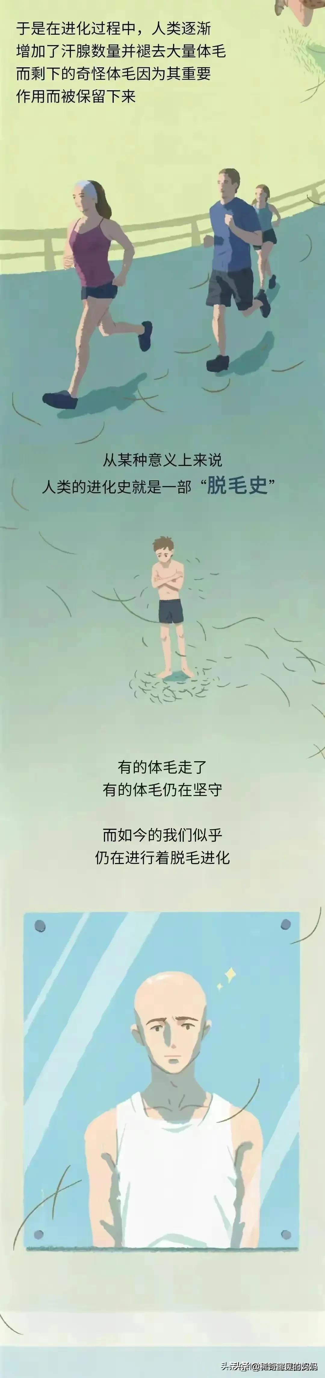 人类的体毛作用,人类为何没有浓密的体毛
