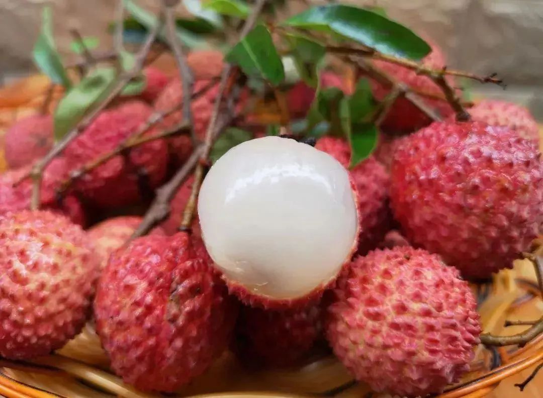 桂味荔枝界的爱马仕,荔枝界的爱马仕是哪个品种