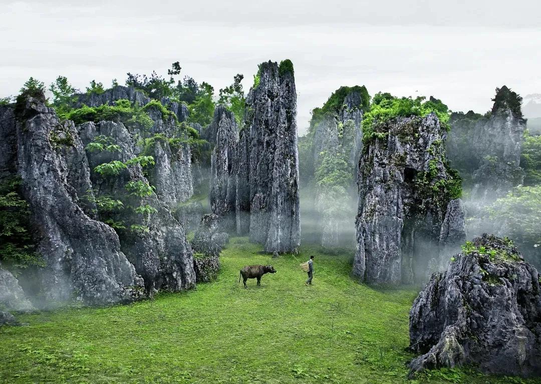 最美思南石林,思南石林风景区全景