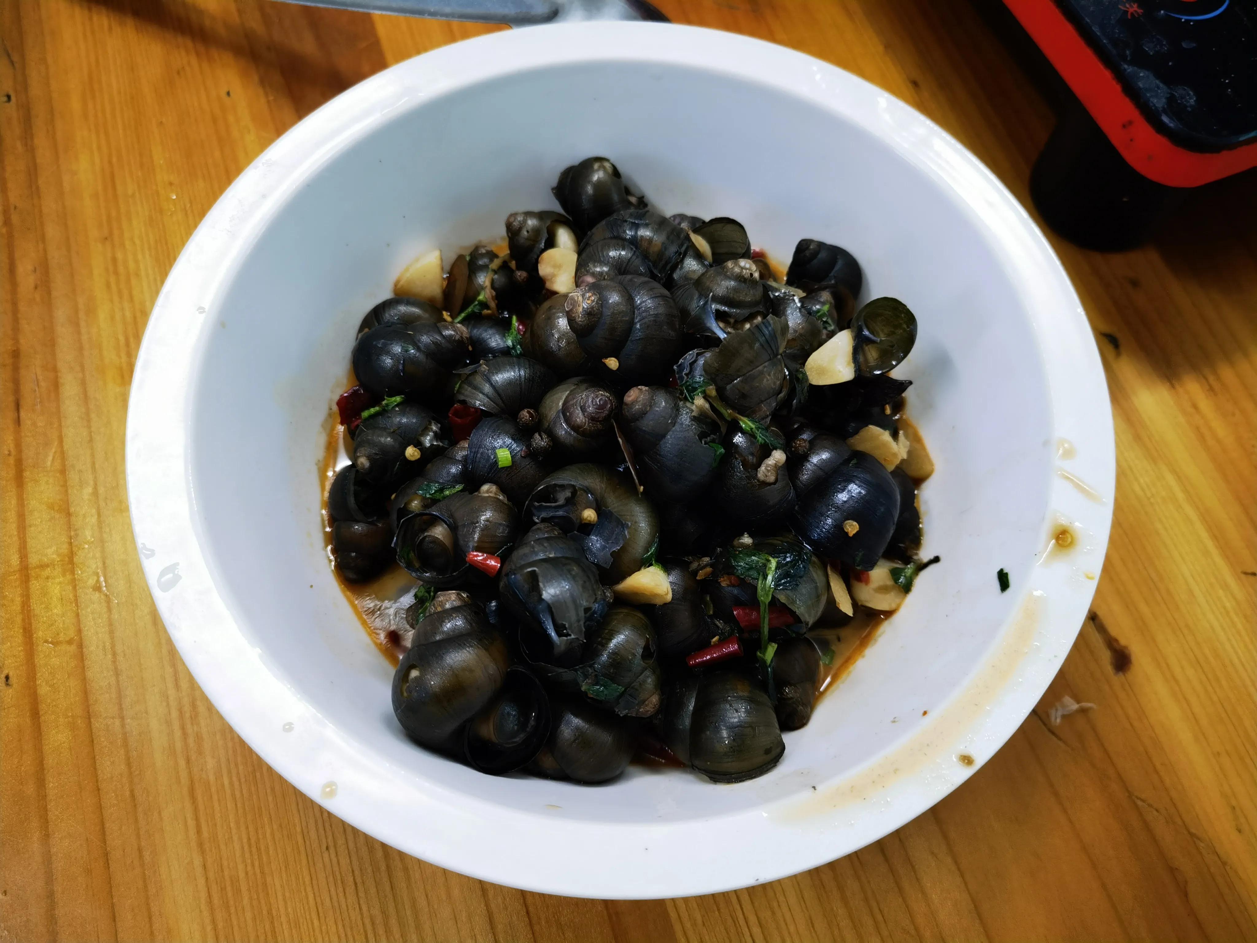 支教日志100字,支教日志