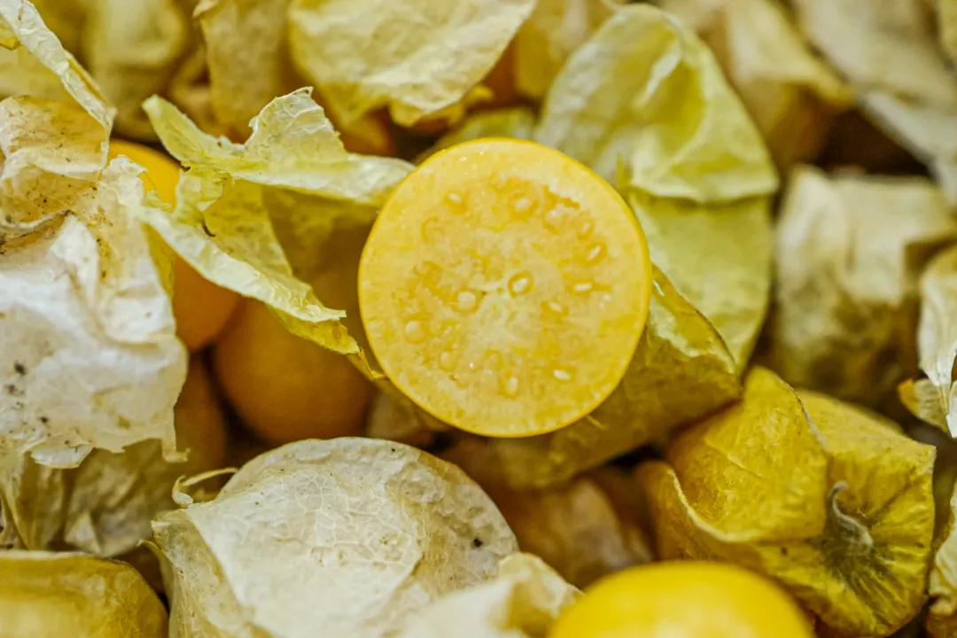 东北淘宝美食推荐,网上可以买到的东北美食