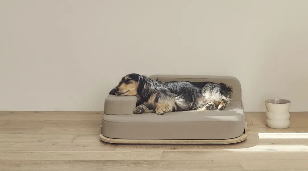 2022年iF设计奖：宠物用品类