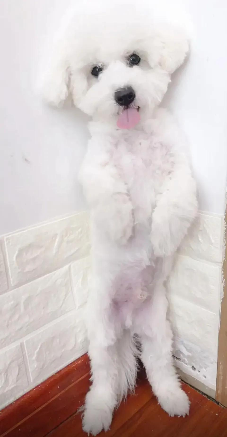 姐俩感情好,姐俩感情深